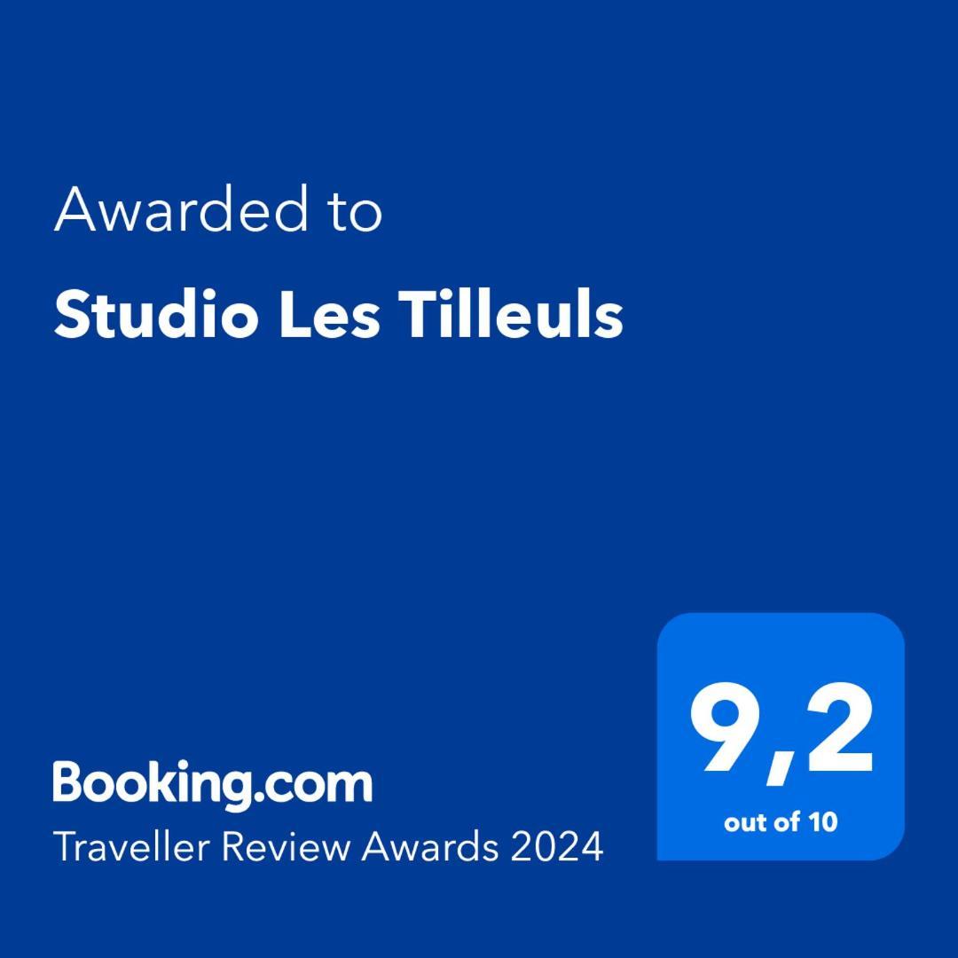 Studio Les Tilleuls Amboise Ngoại thất bức ảnh